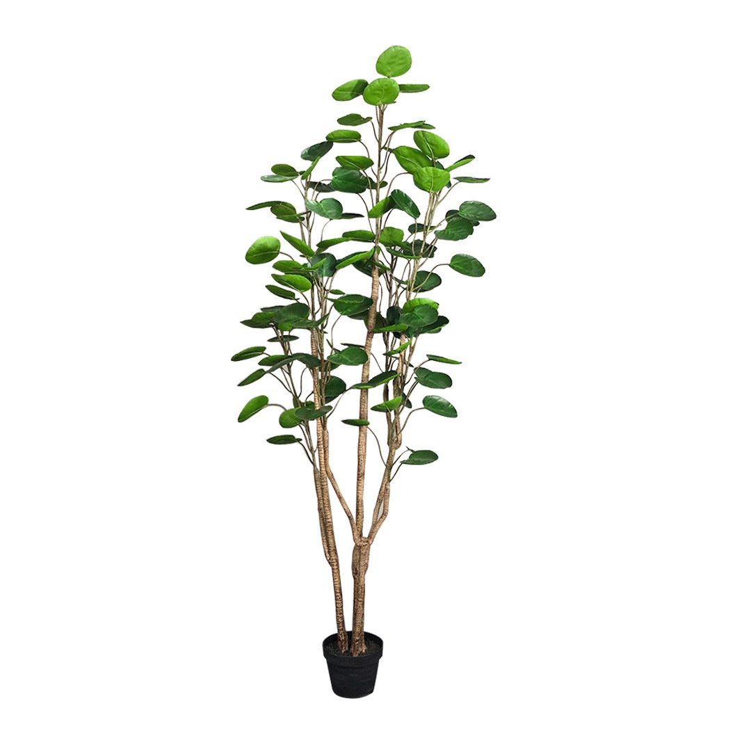 artificial money tree plants