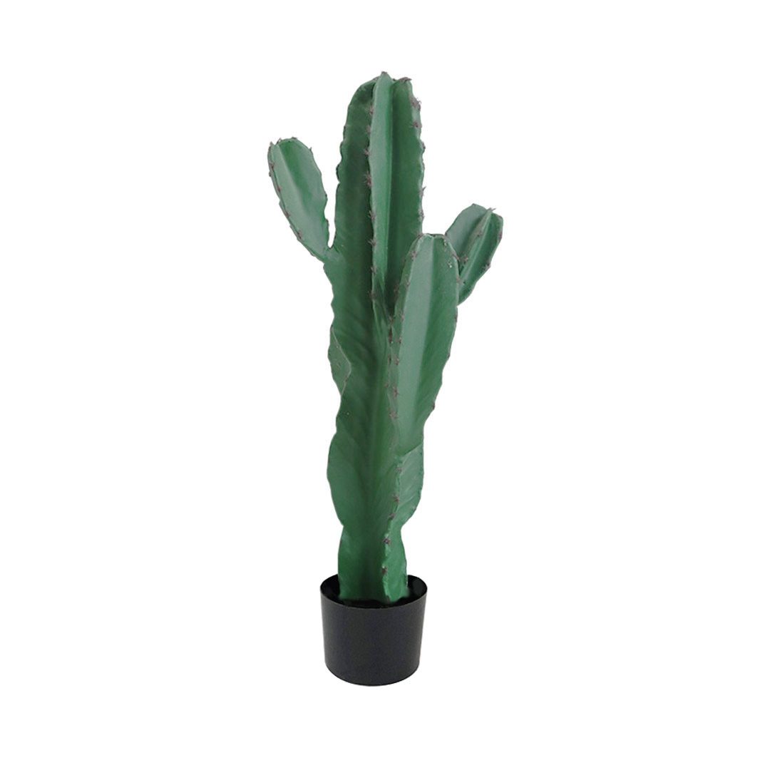 Tall Fake Cactus Plant