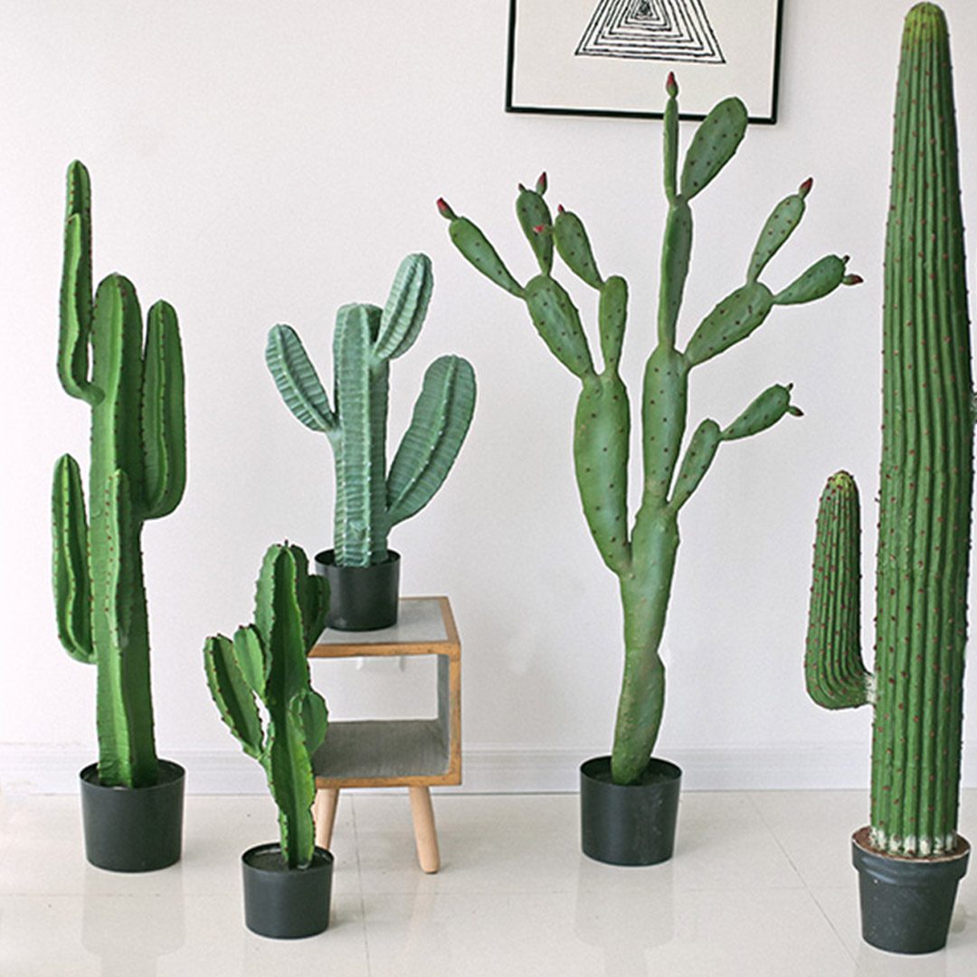 Shop Tall Fake Cactus Plant. Free Shipping OzGalore
