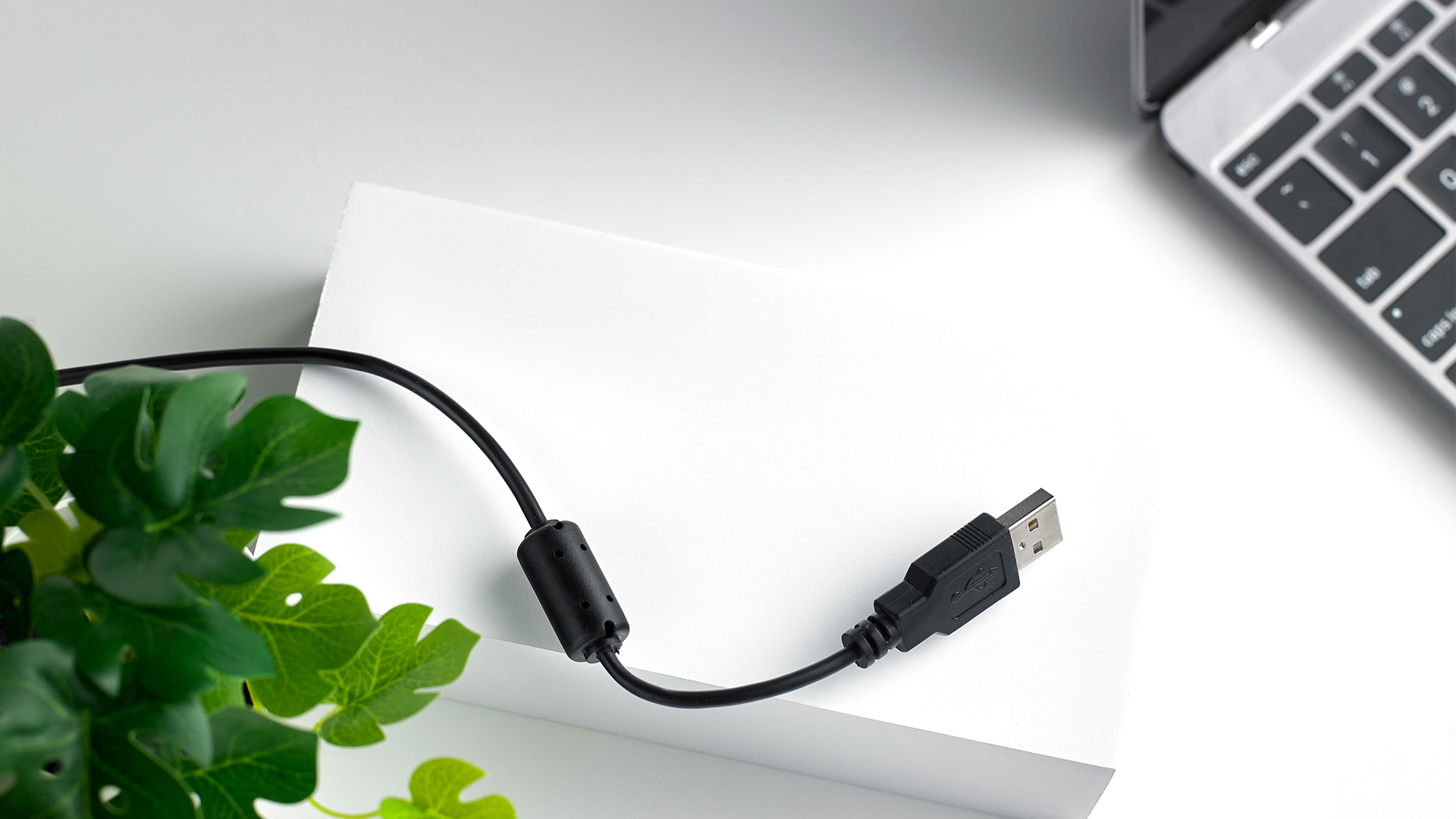 RAPOO C260 Webcam (FHD 1080P, USB 2.0, Compatible with Zoom & Teams) - Image 9