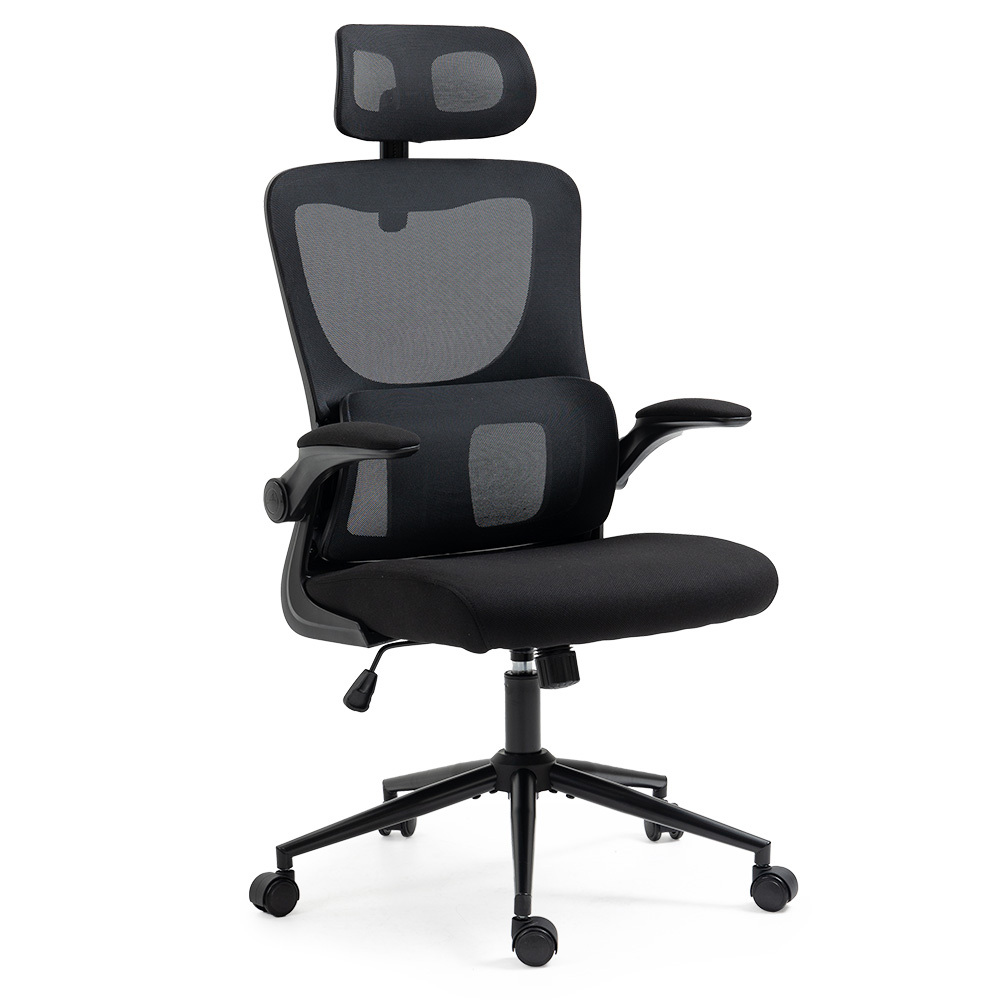 Fortia Ergonomic Mesh Office Chair with Lumbar Support & Headrest – Black