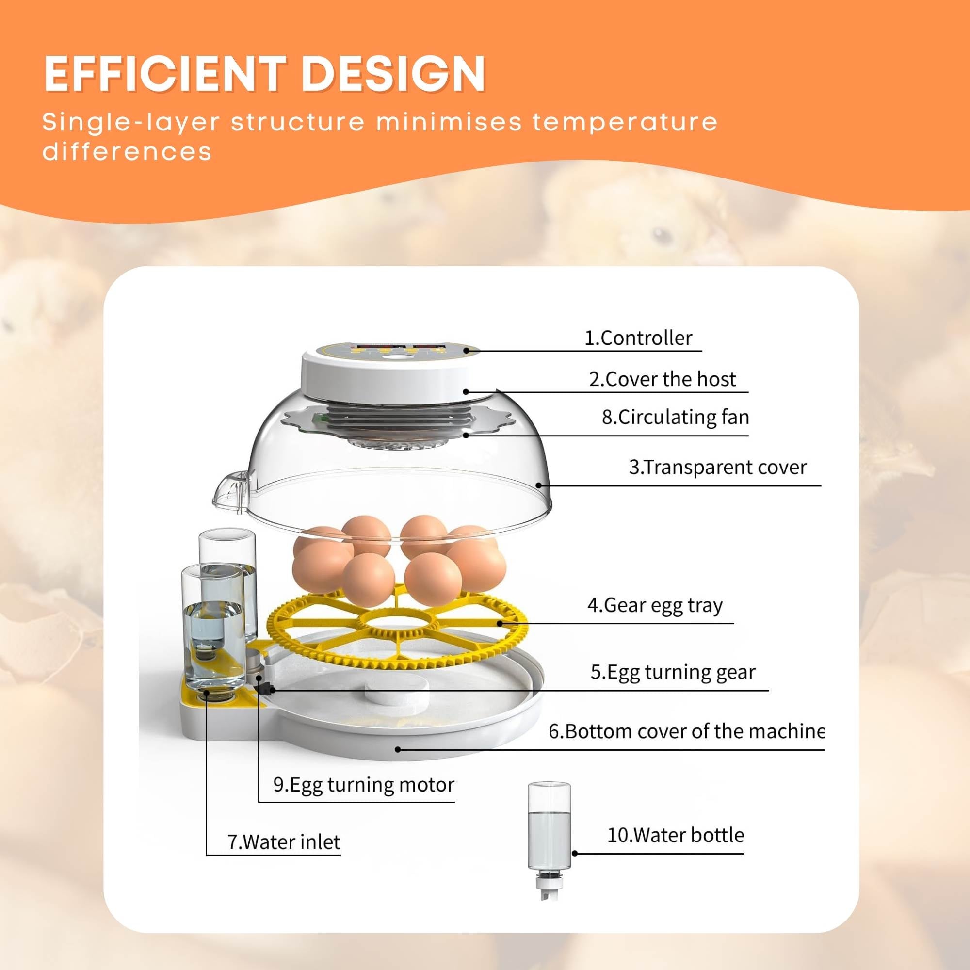 Automatic 8/18 Egg Incubator with Electric Auto-Turning - Image 3