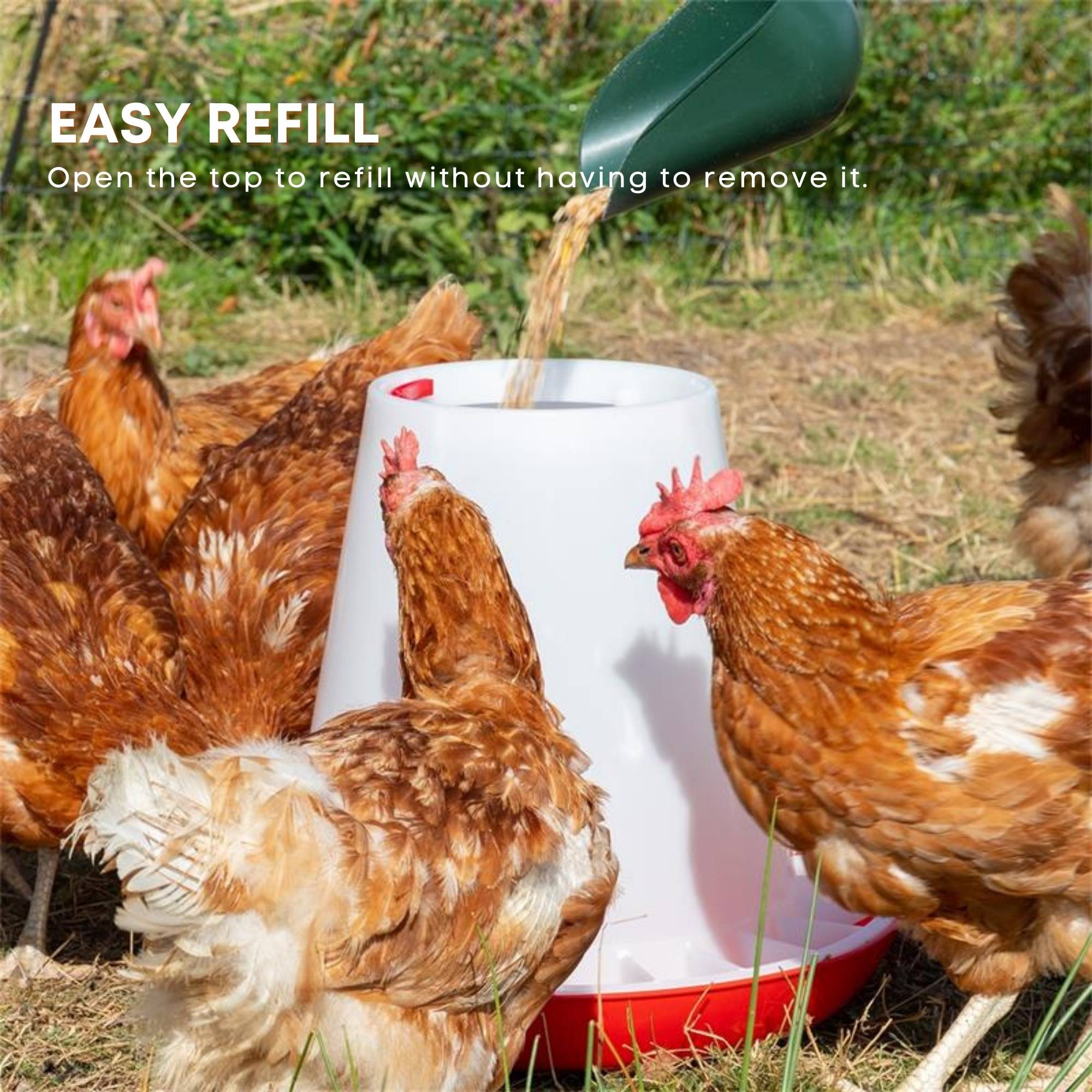 Rooster Farms 1.5Kg Automatic Poultry Feeder Bucket - Image 2