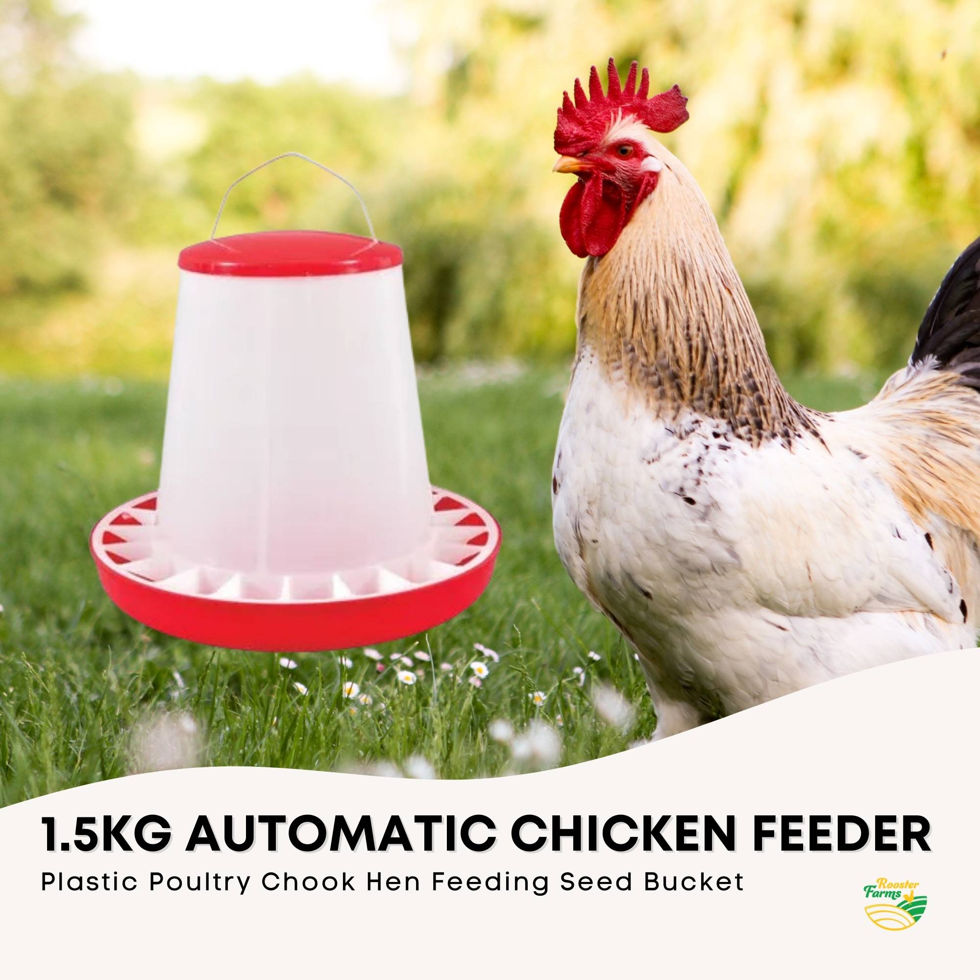Rooster Farms 1.5Kg Automatic Poultry Feeder Bucket - Image 3