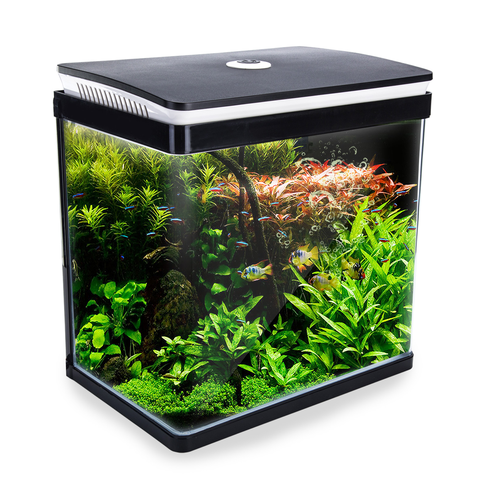 Aquarium Curved Glass RGB LED Fish Tank Set 30L