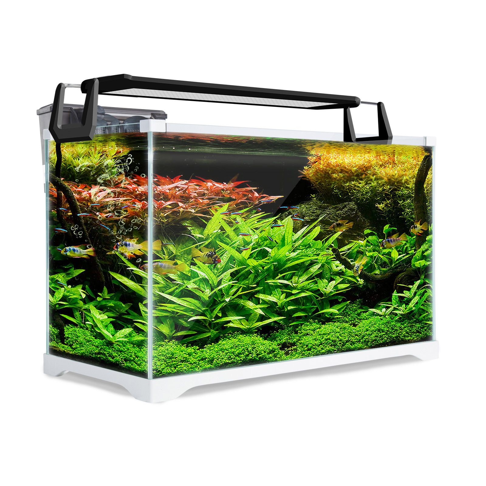 Aquarium Starfire Glass Fish Tank Set 39L with Filter