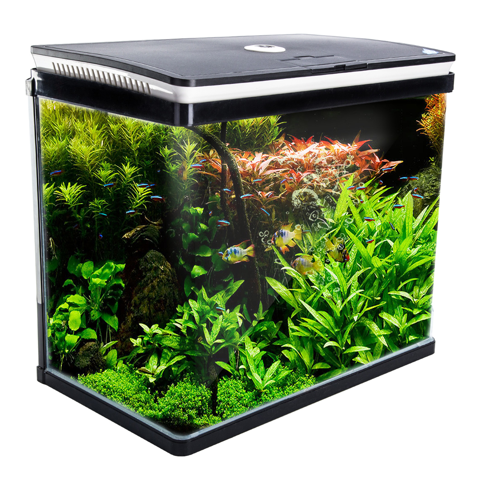 Aquarium Curved Glass RGB LED Fish Tank Set 52L