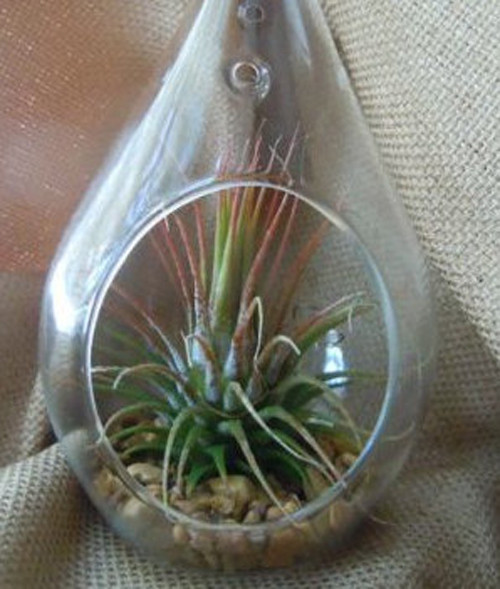 50 Pack - Hanging Clear Glass Teardrop Tealight Candle Holder (12cm) - Image 4