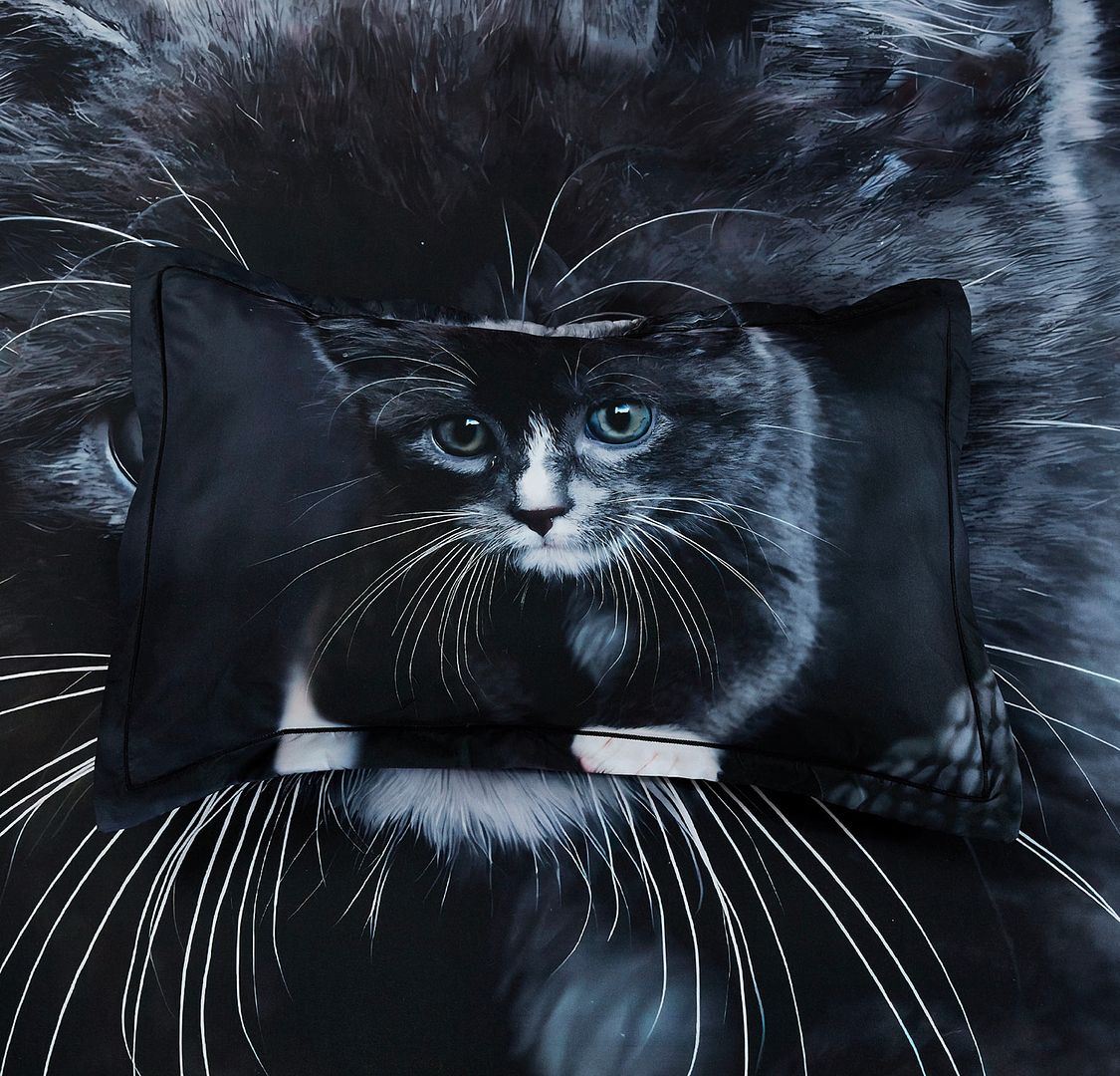 Cute Cat Printed Quilt Cover Set Super King - Image 4