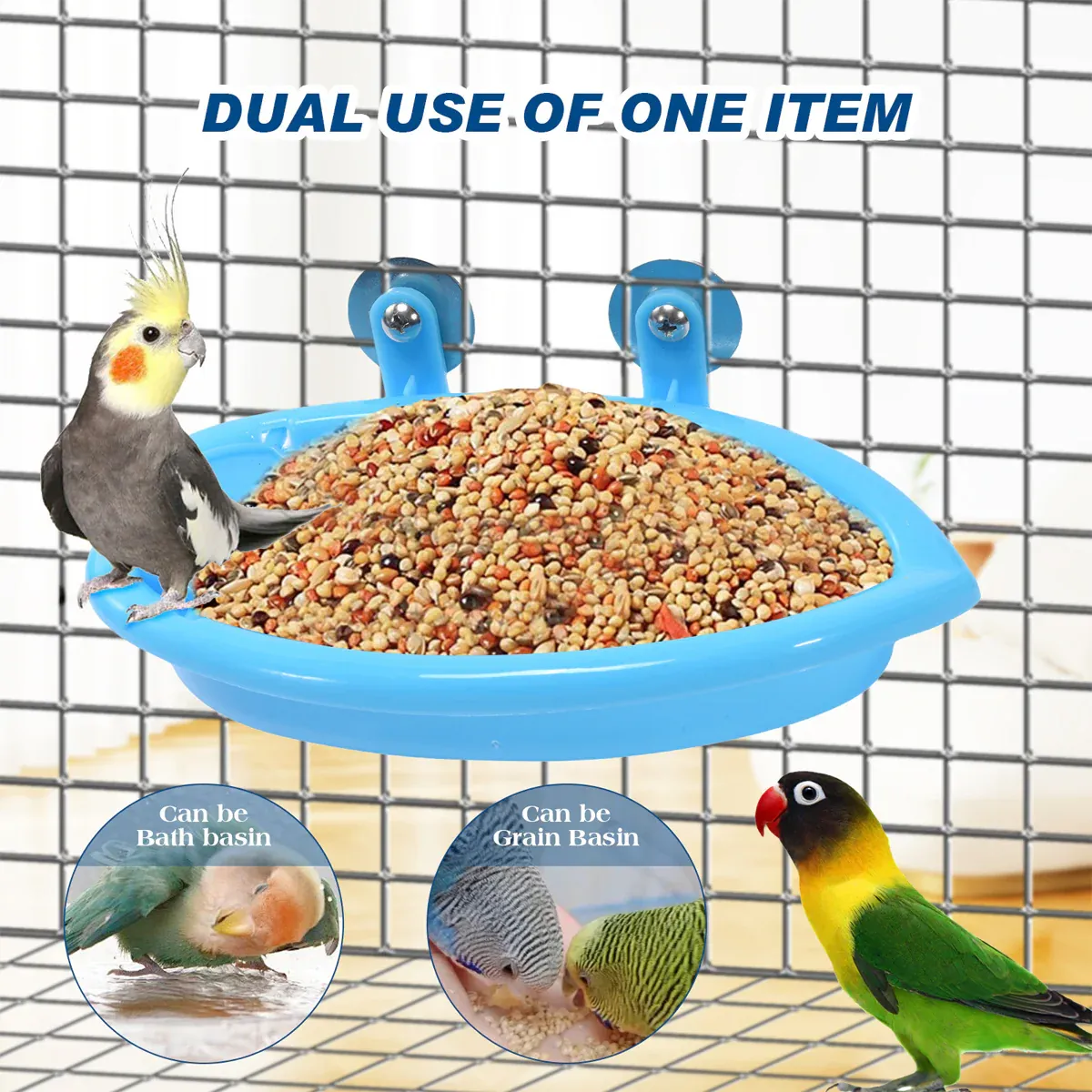 Bird Bath Basin Mirror Type Hanging - Image 5