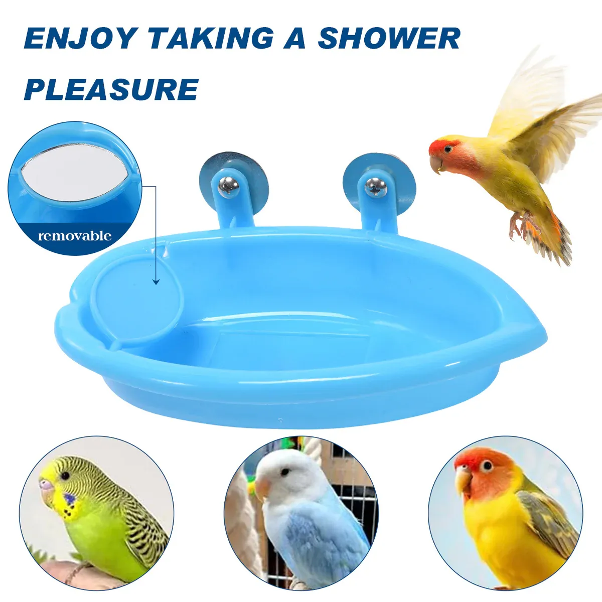 Bird Bath Basin Mirror Type Hanging - Image 7