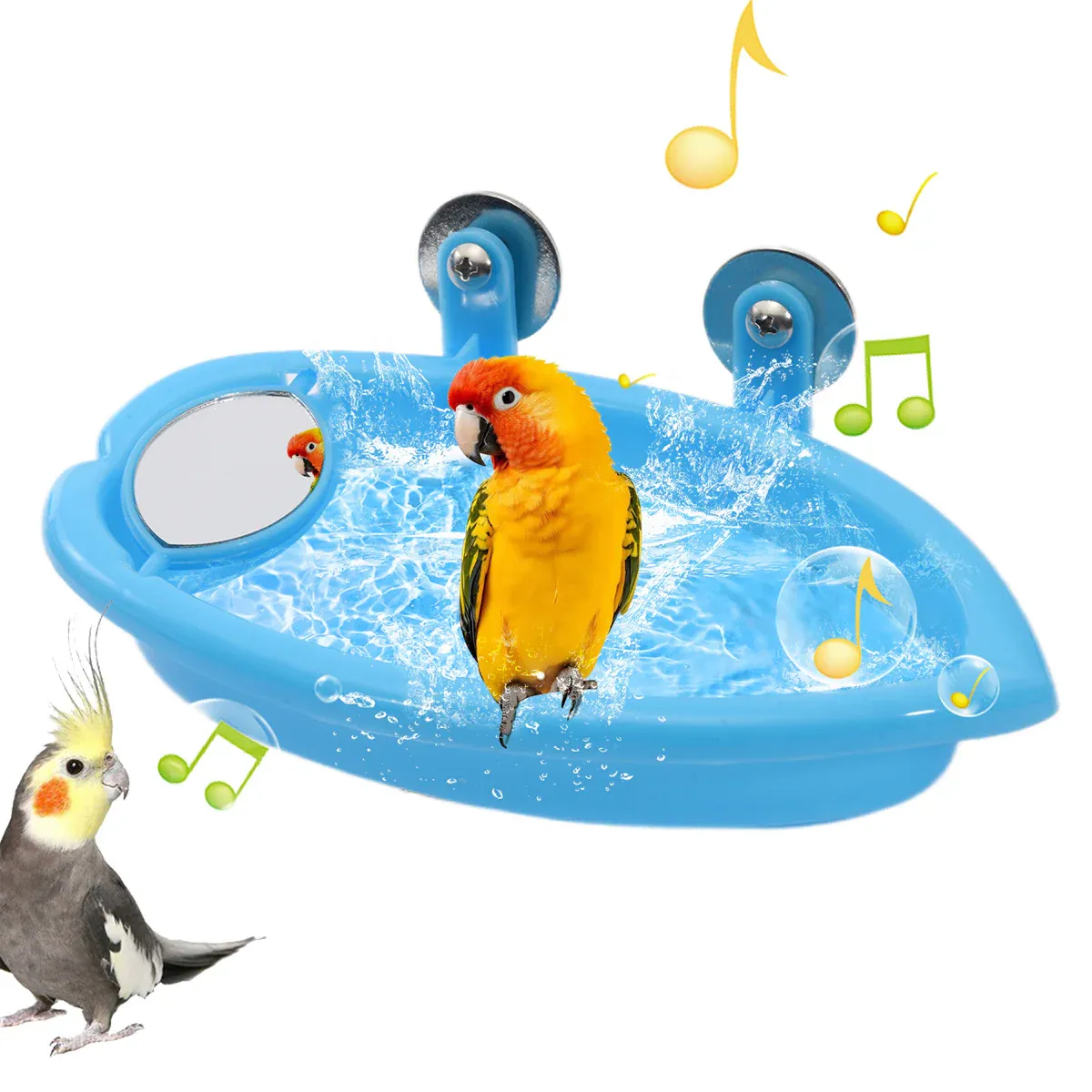Bird Bath Basin Mirror Type Hanging - Image 8