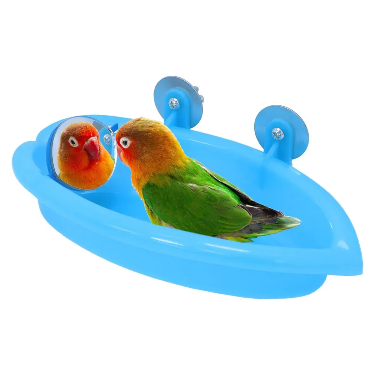 Bird Bath Basin Mirror Type Hanging - Image 10