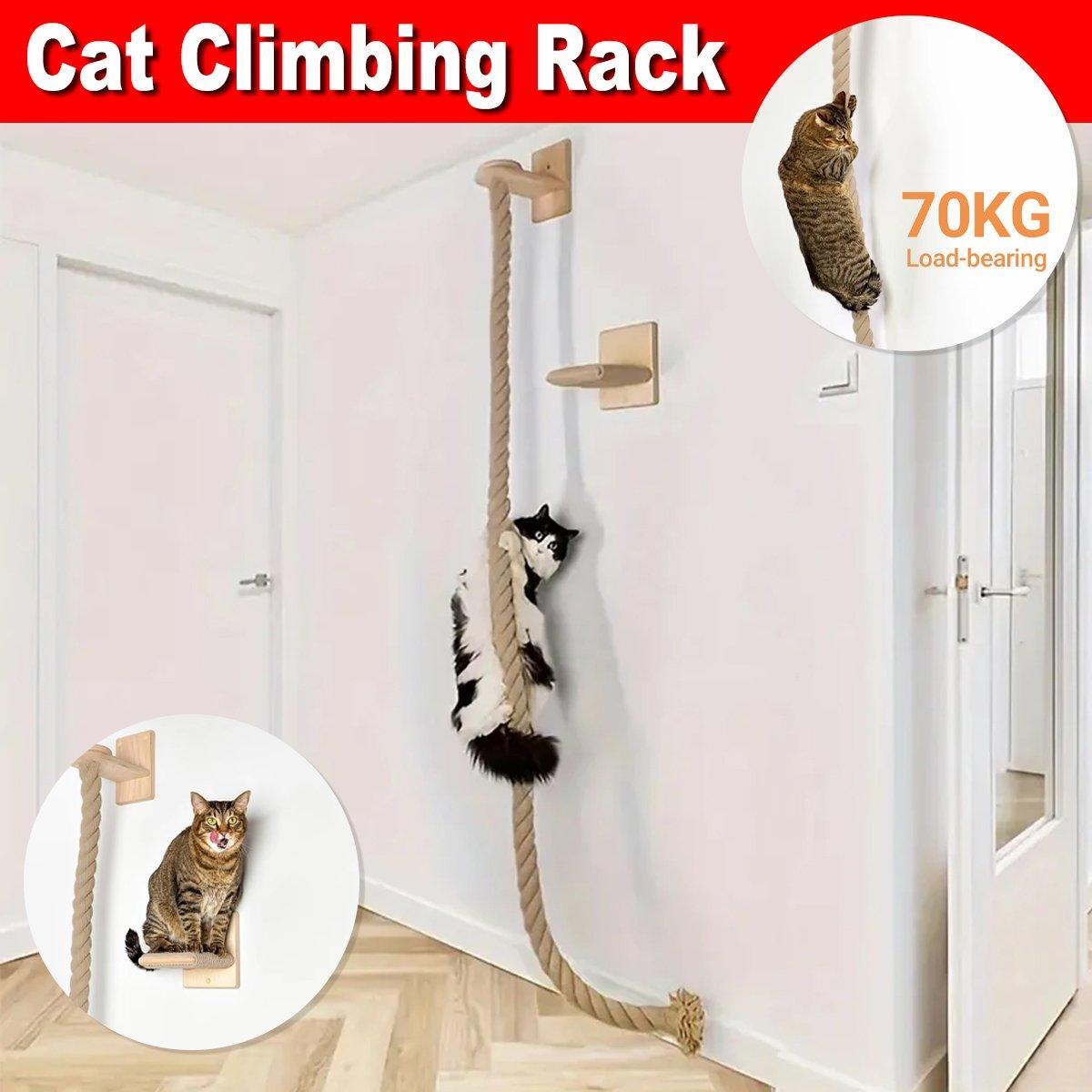 Cat Climbing Frame Rope Leash Platform