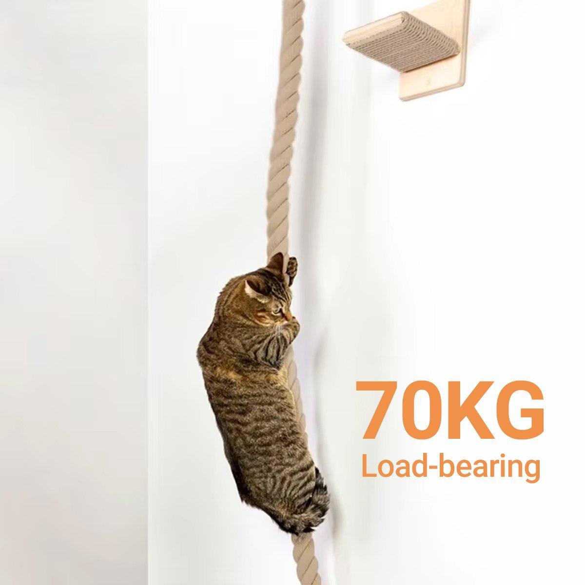 Cat Climbing Frame Rope Leash Platform - Image 4