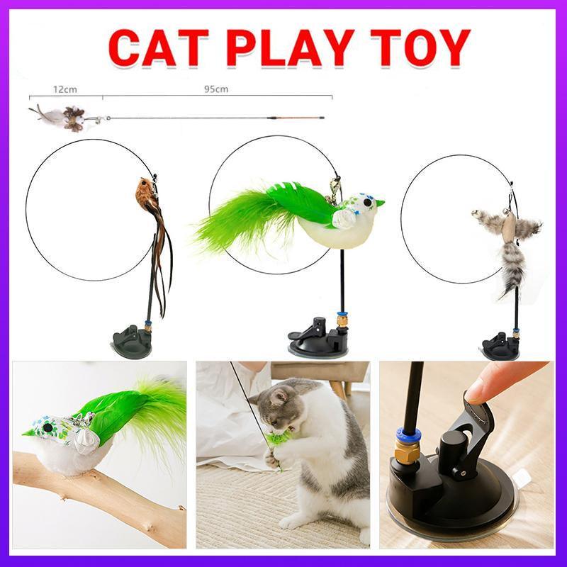 Cat Teaser Wand Simulation Birds 1