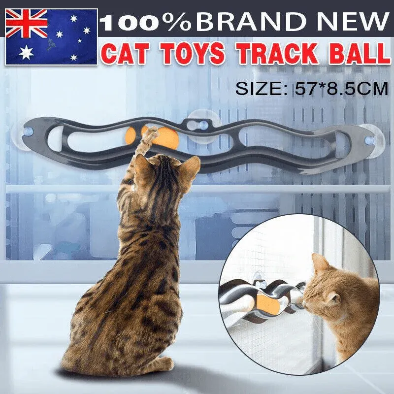 Interactive Cat Track Ball Toy