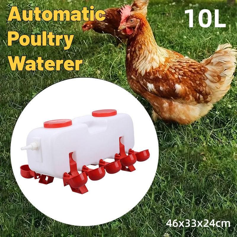 10L Chicken Automatic Drinking Tank