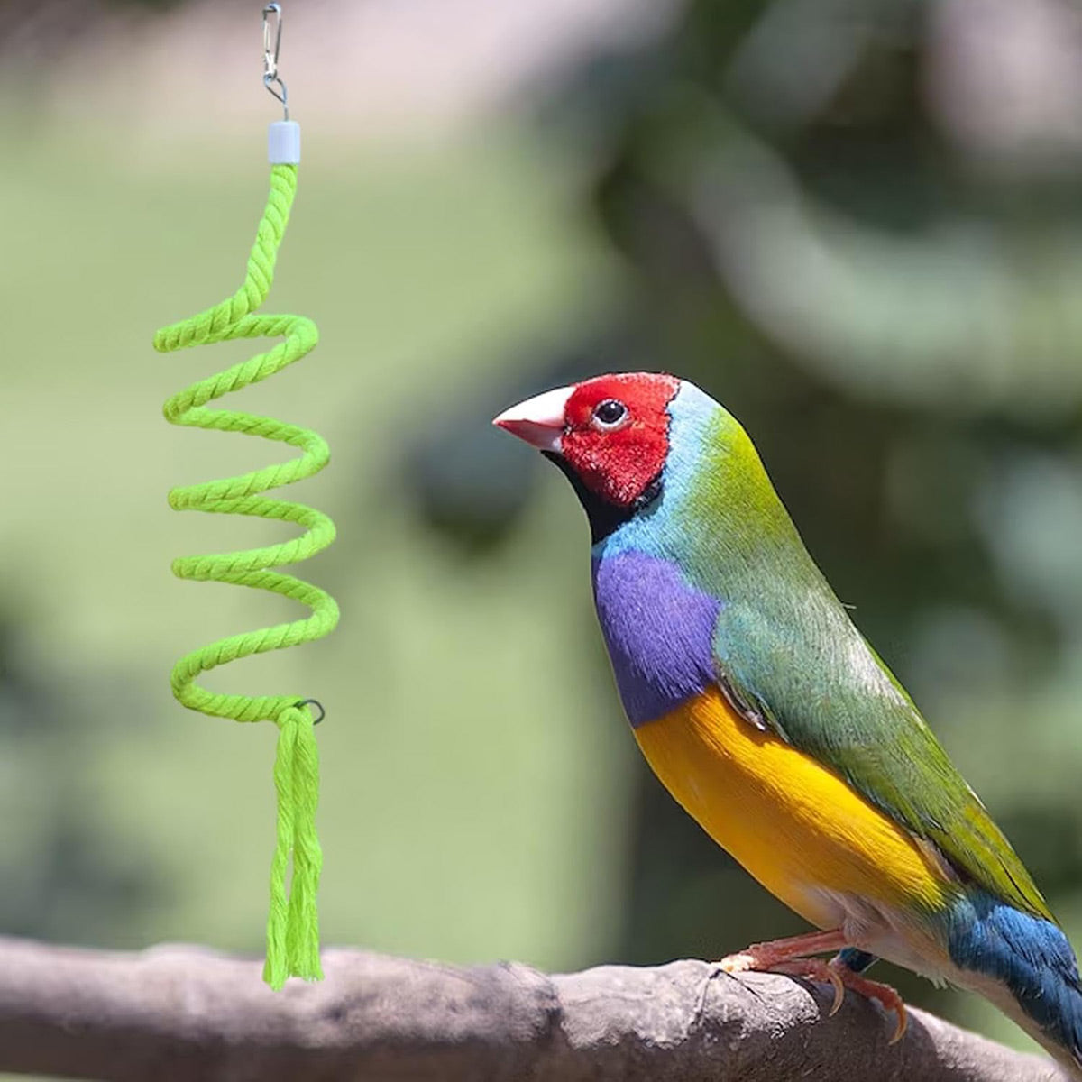 Bird Climbing Rope Toy Gradient Colour - Image 5