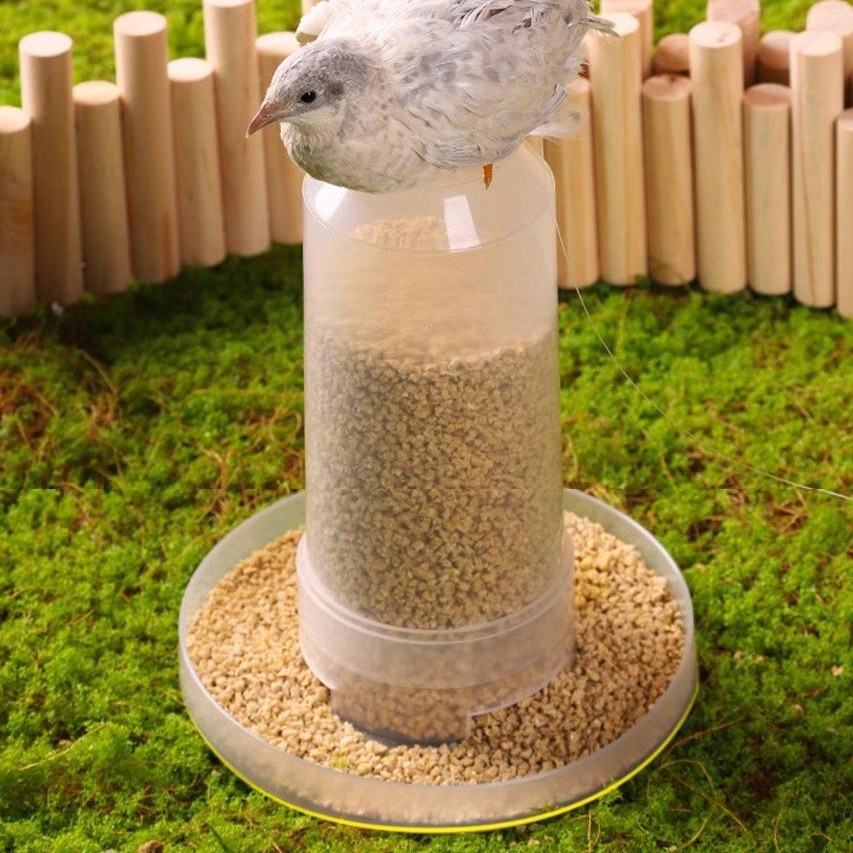 Automatic Bird Feeder Chicken Pigeon Parrot - Image 4