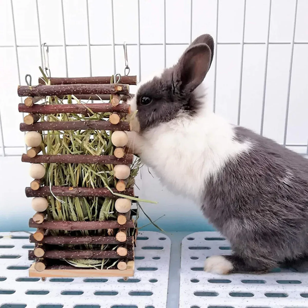 Rabbit Hay Feeder Rack Apple Wood - Image 4