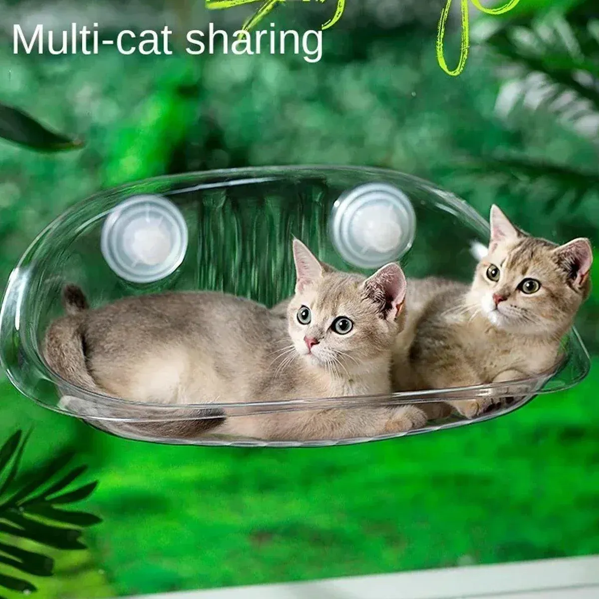 Cat Hammock Bed Glass Hanging Basket White - Image 10