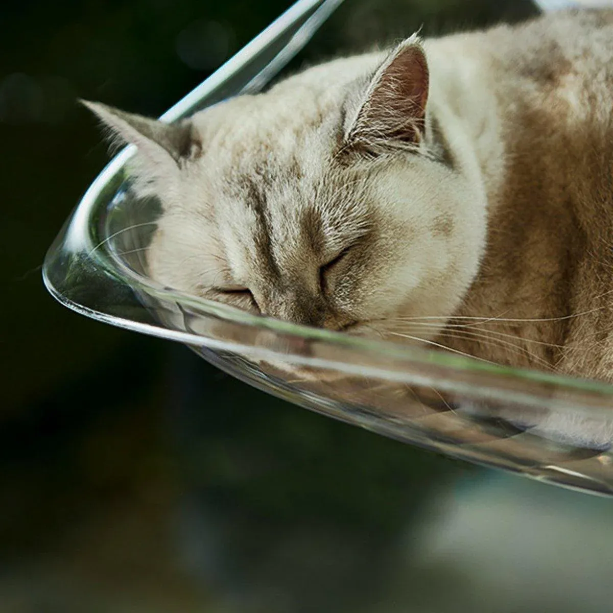 Cat Hammock Bed Glass Hanging Basket White - Image 11