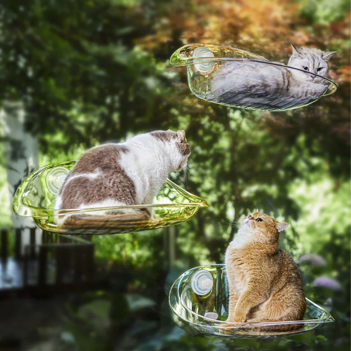 Cat Hammock Bed Glass Hanging Basket White - Image 12