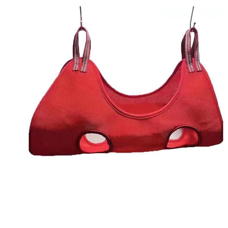 S Size Hammock Helper Pet Grooming Bag Red