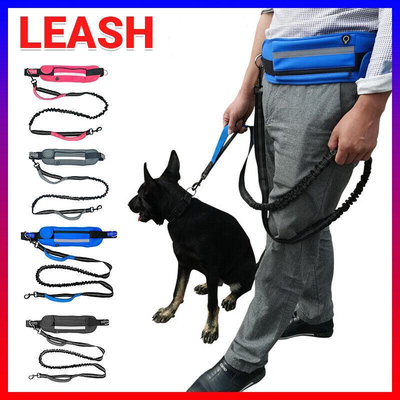Hands Free Dog Leash Black Blue Adjustable