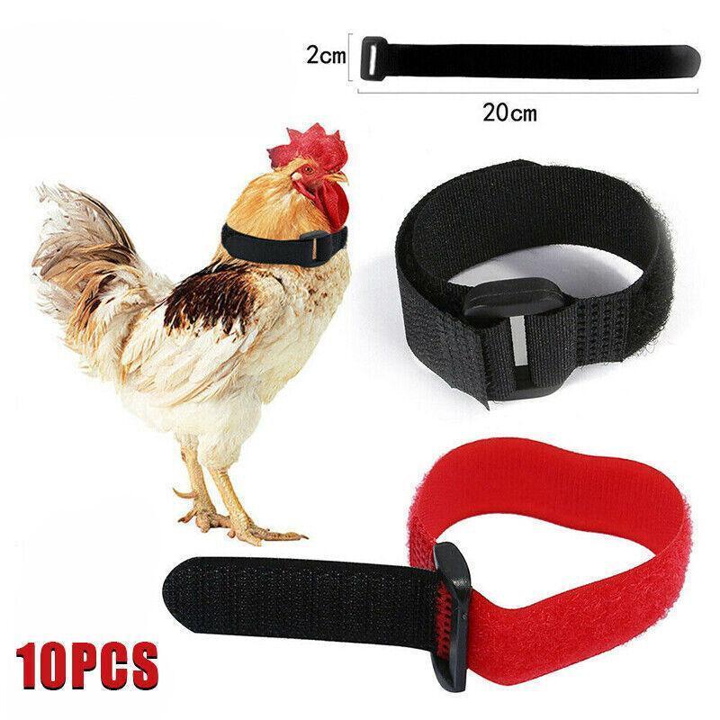 10pcs Rooster Anti Crow Collar Red