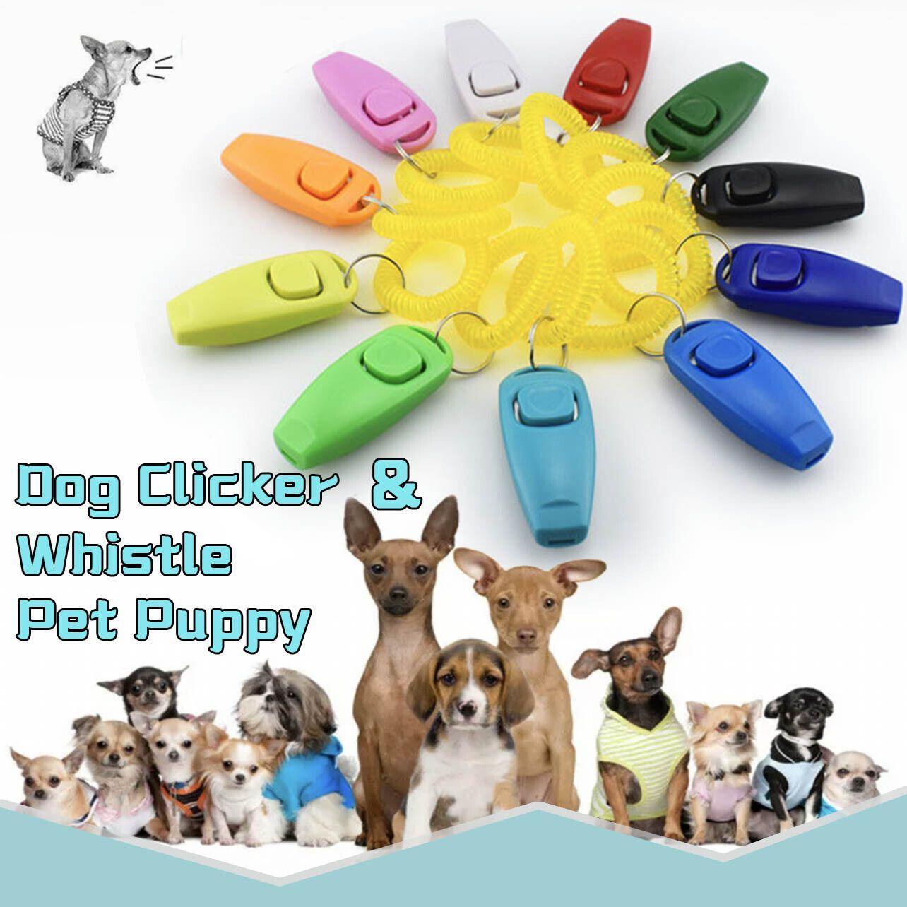 Dog Whistle and Clicker Set Orange