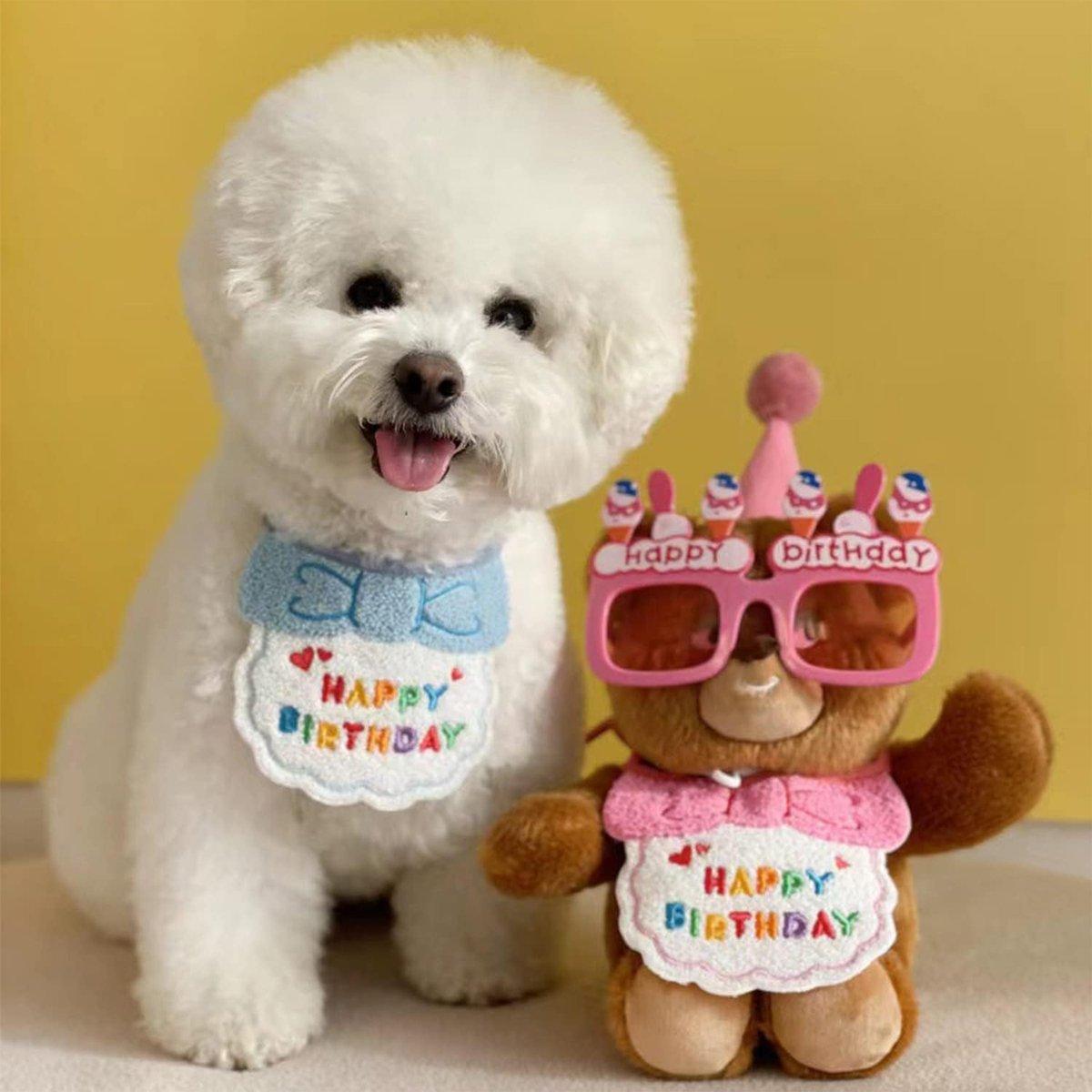 Pet Birthday Bib Pink Celebration - Image 4