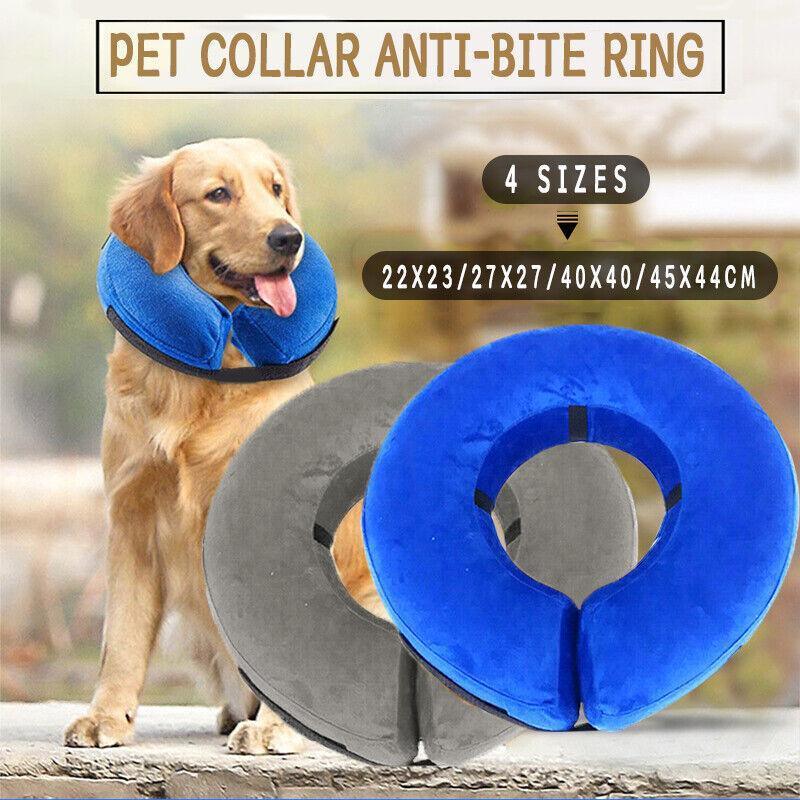 Blue Pet Dog Healing Collar S Inflatable