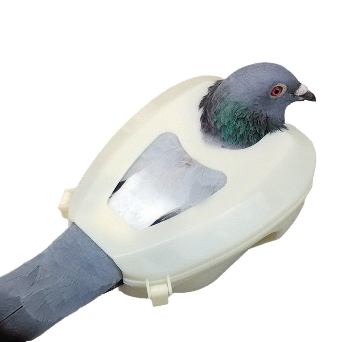 2X Plastic Racing Pigeon Holder Frame - Image 5