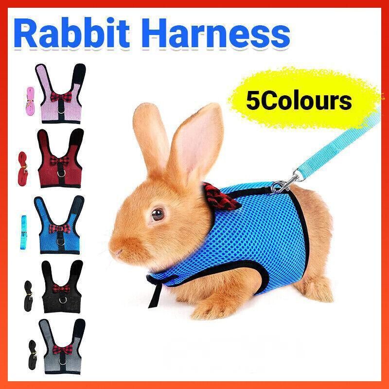 Rabbit Vest Harness Black S Adjustable - Image 2