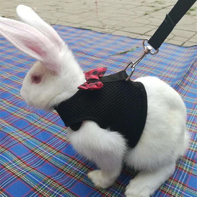 Rabbit Vest Harness Black S Adjustable - Image 10