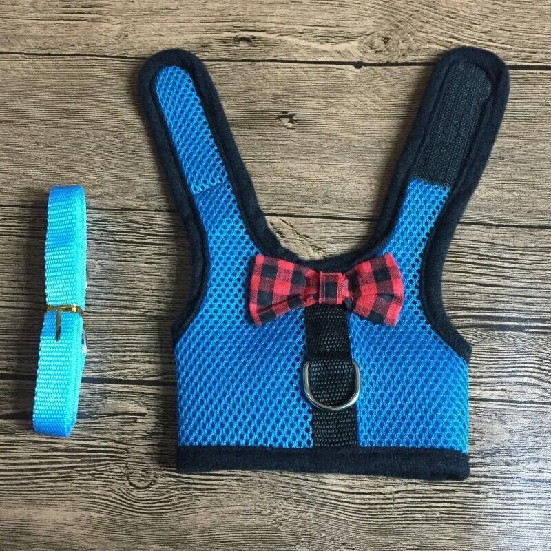 Rabbit Vest Harness Grey S Adjustable - Image 6