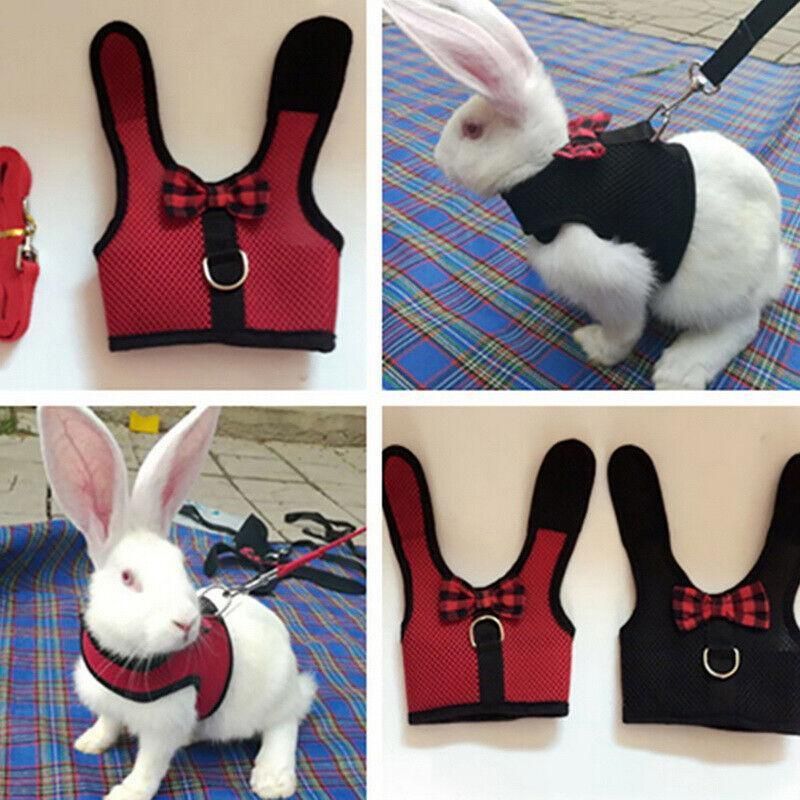 Rabbit Vest Harness Grey S Adjustable - Image 11