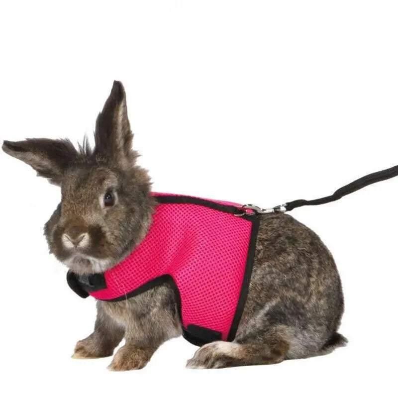 Small Animal Harness Rose Red M Soft - Image 5