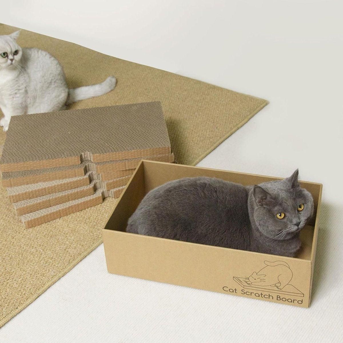 Corrugated Cardboard Cat Scratcher Cartoon - Image 10