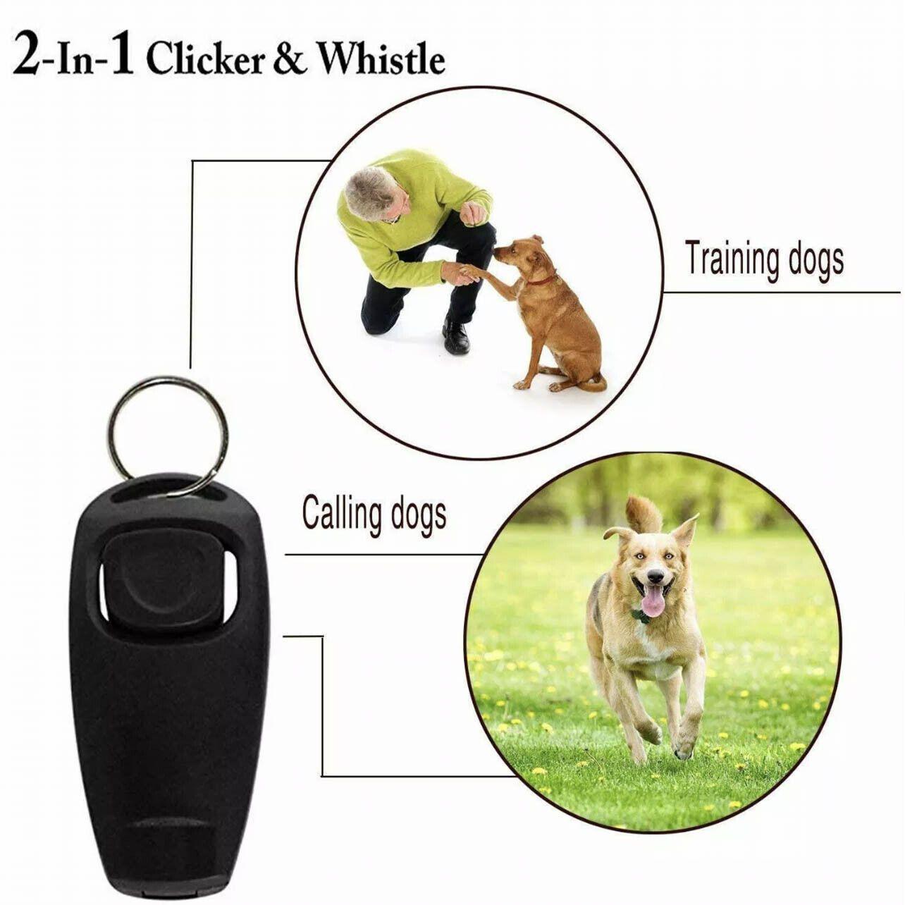 Dog Whistle and Clicker Set Sky Blue - Image 5