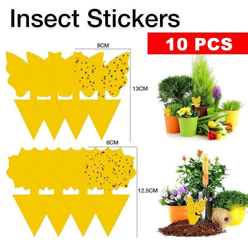 Dual Sided Sticky Trap Butterfly 10PCS
