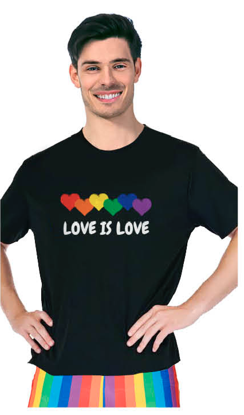Adult Rainbow T Shirt Gay Pride Black One Size