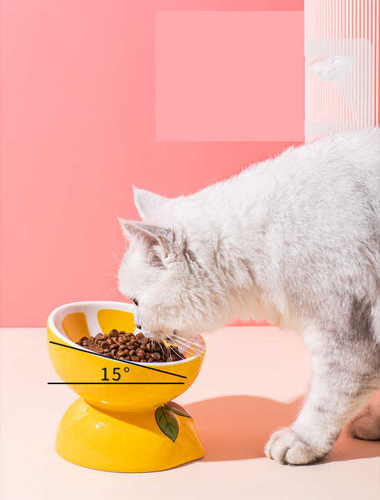 Elevated Ceramic Pet Food Bowl - Cute Pitaya Pattern - Image 3