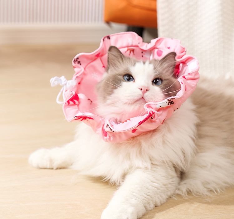 2 Pcs Size M Pink Comfortable Pet Recovery Collar - Image 5