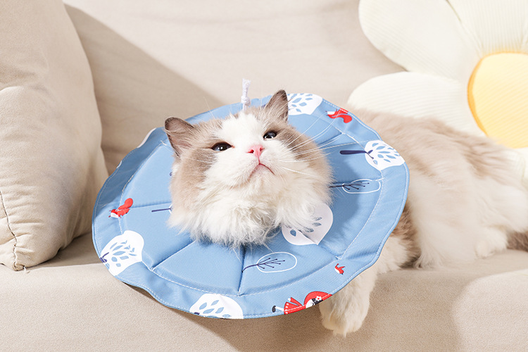 2 Pcs Size M Blue Comfortable Pet Recovery Collar - Image 4