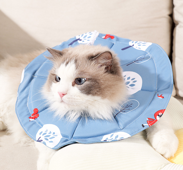 2 Pcs Size S Blue Comfortable Pet Recovery Collar