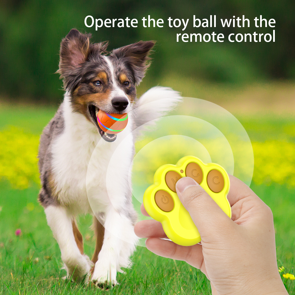 Interactive Auto Pet Toy Ball with Remote Control - USB Rechargeable, LED Lights, Waterproof (Yellow) - Image 8