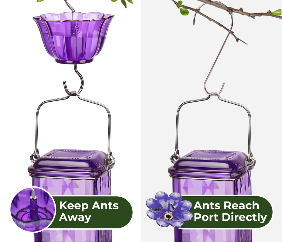 Elegant Green Hanging Hummingbird Feeder - Decorative Glass Nectar Bottle with Ant Moat - Image 5